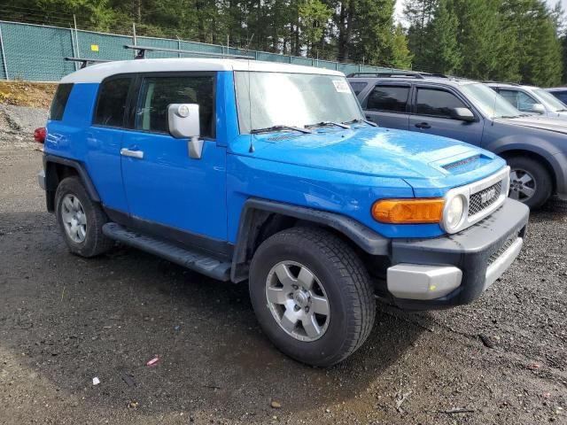 2007 Toyota FJ Cruiser