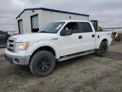 Salvage cars for sale from Copart Airway Heights, WA: 2013 Ford F150 Supercrew