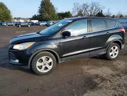 Salvage cars for sale at Finksburg, MD auction: 2015 Ford Escape