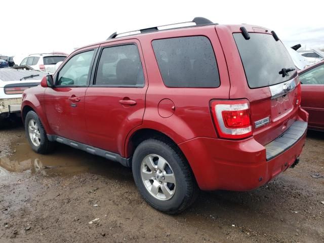 2010 Ford Escape Limited