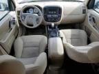 2007 Ford Escape XLT