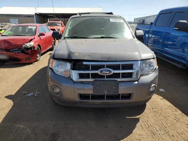 2012 Ford Escape XLT