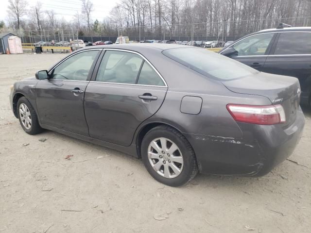 2008 Toyota Camry Hybrid