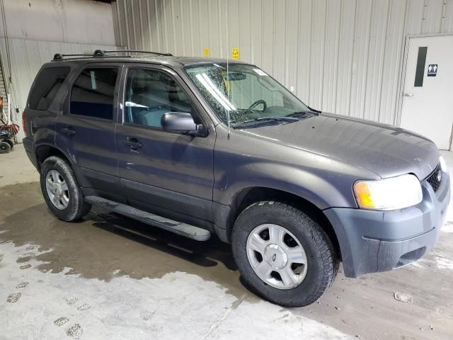 2004 Ford Escape XLT