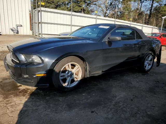 2014 Ford Mustang