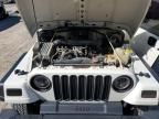 1998 Jeep Wrangler / TJ Sport