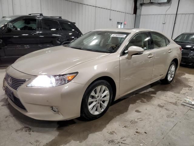 2014 Lexus ES 300H