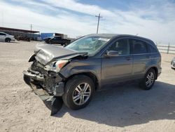 Salvage cars for sale from Copart Andrews, TX: 2010 Honda CR-V EXL