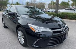 Salvage cars for sale from Copart Opa Locka, FL: 2015 Toyota Camry LE