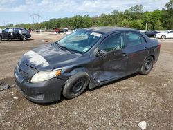 Vehiculos salvage en venta de Copart Greenwell Springs, LA: 2010 Toyota Corolla Base