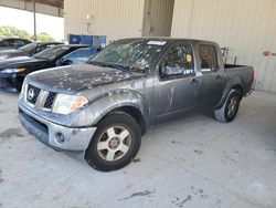 Salvage cars for sale at Homestead, FL auction: 2008 Nissan Frontier Crew Cab LE