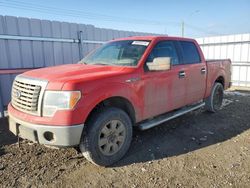 Ford salvage cars for sale: 2012 Ford F150 Supercrew