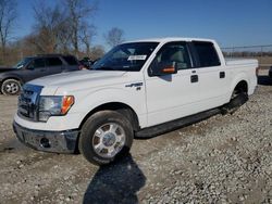 Salvage cars for sale from Copart Cicero, IN: 2010 Ford F150 Supercrew