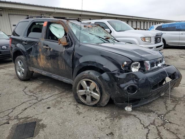 2012 Ford Escape XLT