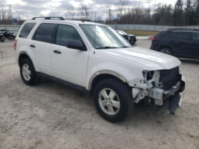 2012 Ford Escape XLT