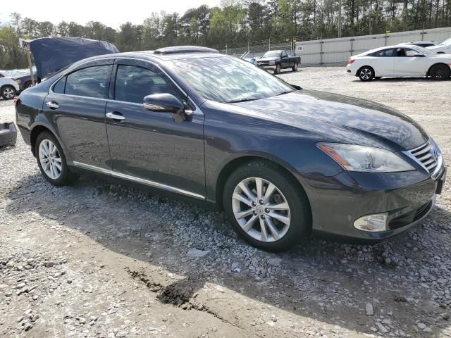 2010 Lexus ES 350