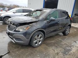 Salvage cars for sale from Copart Glassboro, NJ: 2013 Buick Encore
