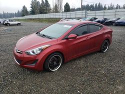 Salvage cars for sale at Graham, WA auction: 2016 Hyundai Elantra SE