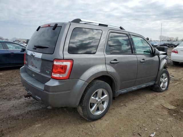 2011 Ford Escape Limited