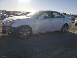 Lexus ES 350 salvage cars for sale: 2007 Lexus ES 350