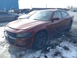 Dodge salvage cars for sale: 2019 Dodge Charger SXT