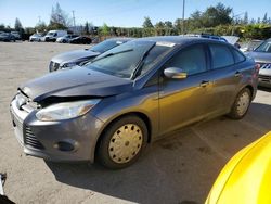 Salvage cars for sale from Copart San Martin, CA: 2013 Ford Focus SE