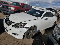 Salvage cars for sale from Copart Albuquerque, NM: 2010 Lexus IS 350