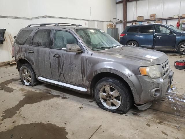 2009 Ford Escape XLT