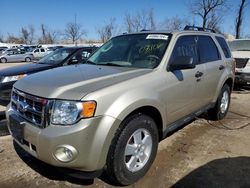 2010 Ford Escape XLT for sale in Bridgeton, MO