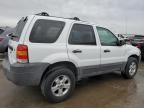 2007 Ford Escape XLT