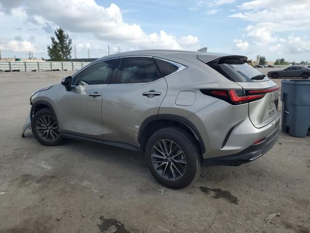 2024 Lexus NX 250 Base