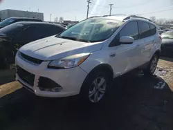 Salvage cars for sale at Chicago Heights, IL auction: 2013 Ford Escape SE