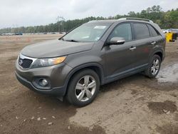 KIA salvage cars for sale: 2013 KIA Sorento EX