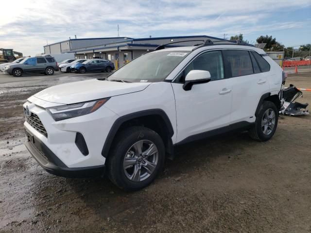 2024 Toyota Rav4 XLE