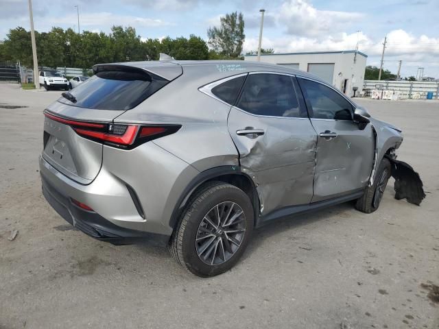 2024 Lexus NX 250 Base