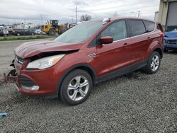 Ford salvage cars for sale: 2014 Ford Escape SE