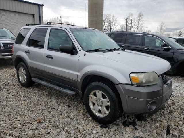 2006 Ford Escape XLT