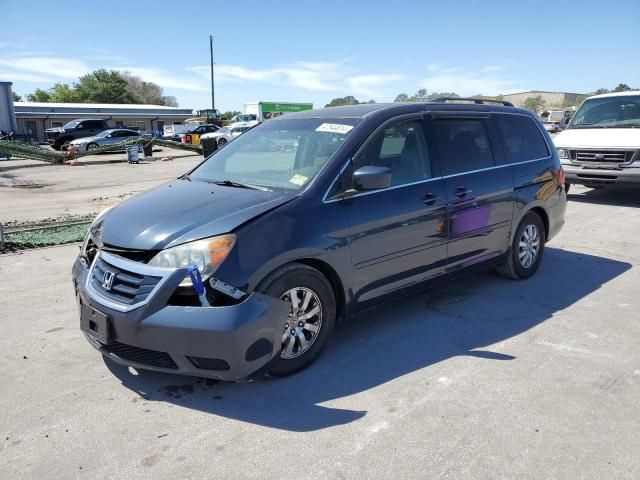 2010 Honda Odyssey EXL