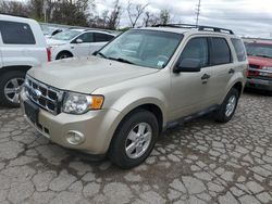 Ford Escape xlt salvage cars for sale: 2010 Ford Escape XLT