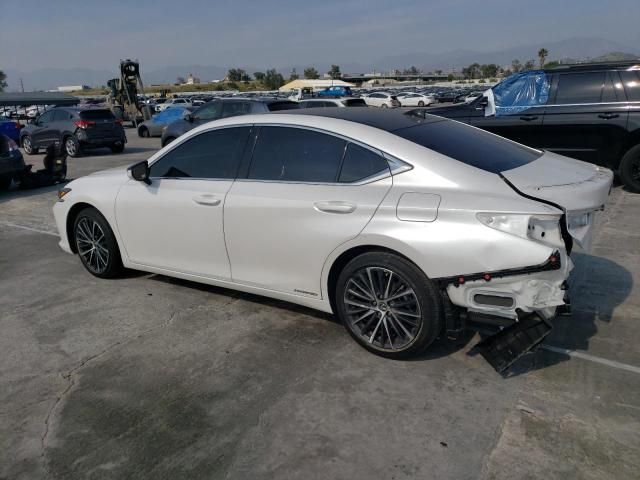 2021 Lexus ES 300H