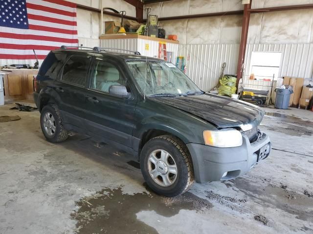 2003 Ford Escape XLT