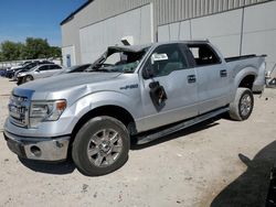 2014 Ford F150 Supercrew for sale in Apopka, FL