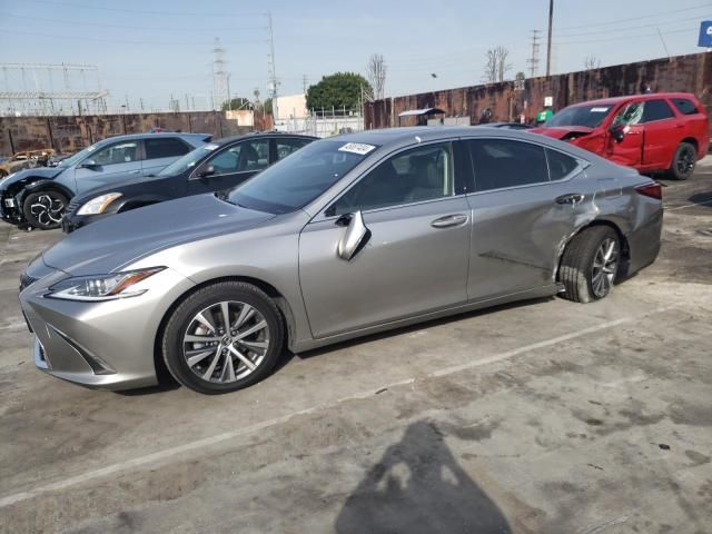 2019 Lexus ES 350