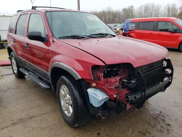 2006 Ford Escape XLT