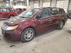 Salvage cars for sale from Copart Blaine, MN: 2013 Honda Odyssey EXL