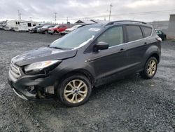 Salvage cars for sale at Elmsdale, NS auction: 2018 Ford Escape SEL