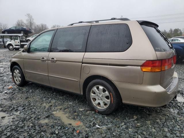 2003 Honda Odyssey EXL