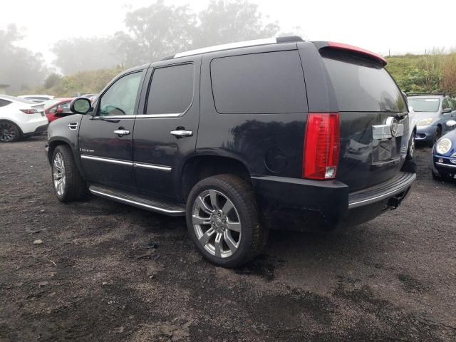 2008 Cadillac Escalade Luxury