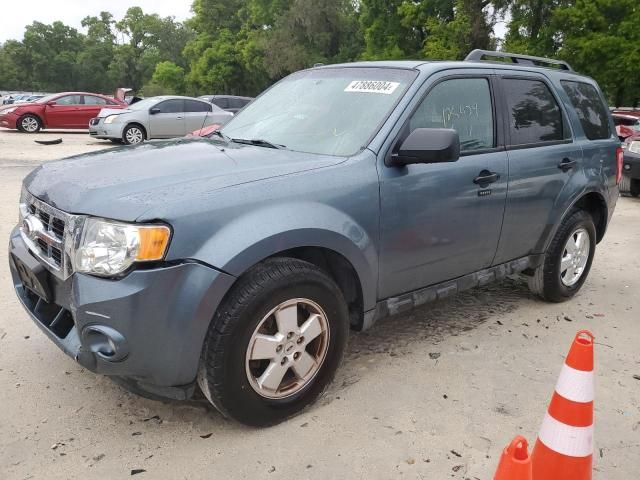 2011 Ford Escape XLT