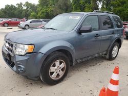 Salvage cars for sale from Copart Ocala, FL: 2011 Ford Escape XLT